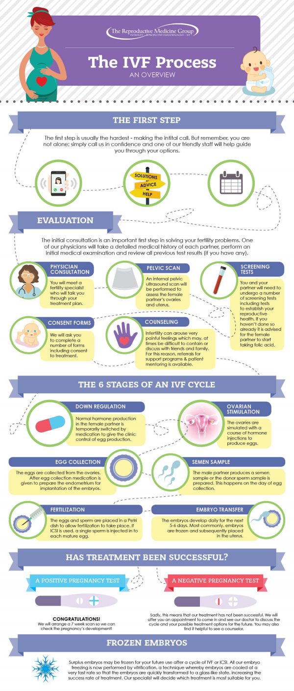 IVF Process In Vitro Fertilization Fertility Treatment